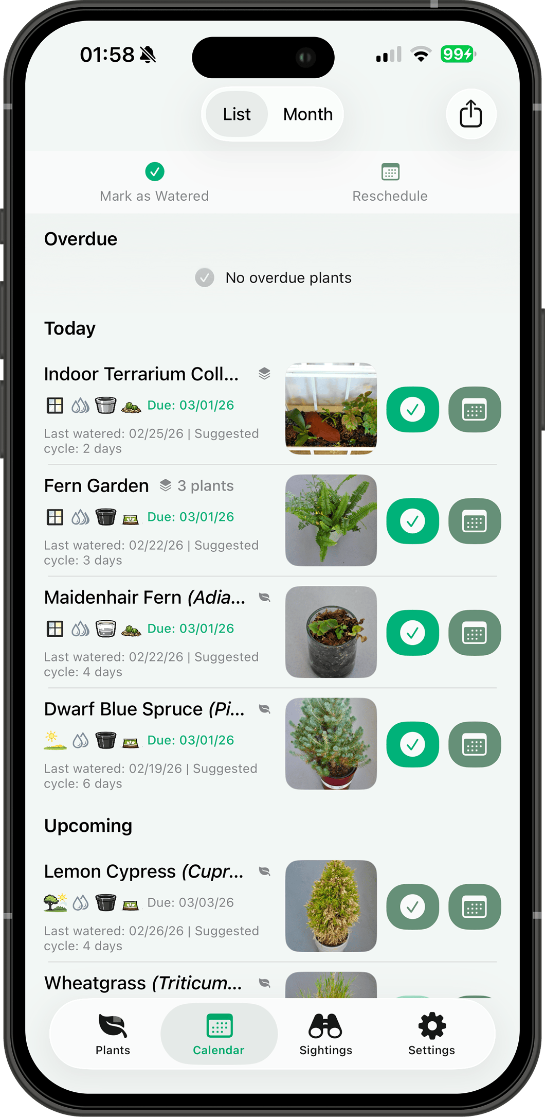 Watering list with overdue and upcoming
